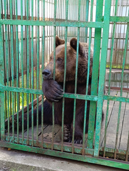 День релакса