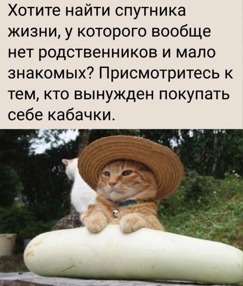 😄Думаю все поняли и