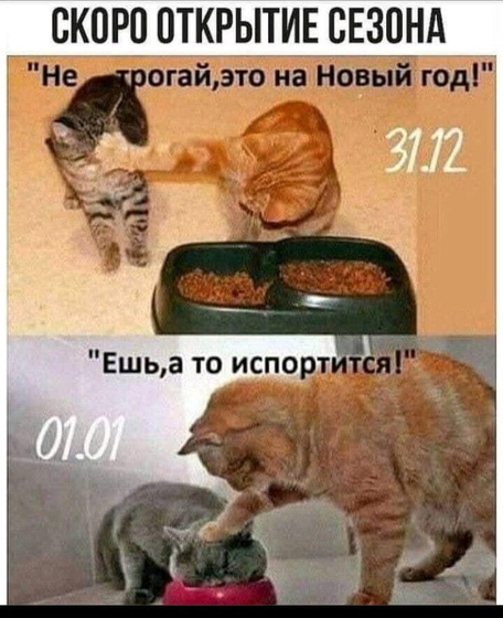 А вы готовы к сезону....??