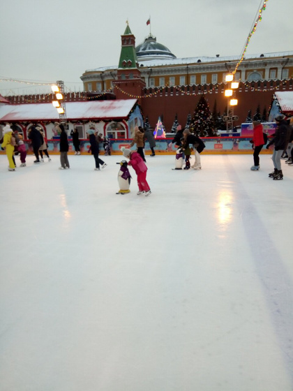 Наши новогодние каникулы.