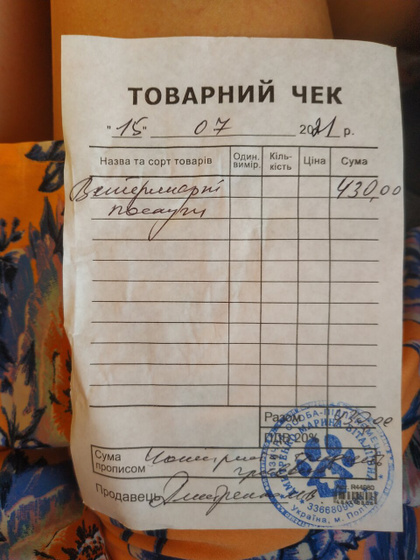 Васька теперь наш. Ваську полечили.