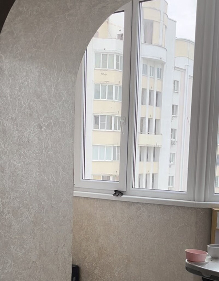 Стриж залетел в квартиру!!!