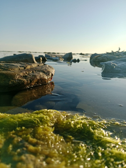 Сейчас будет срач....про море мазут и Геленджик и БЭКи