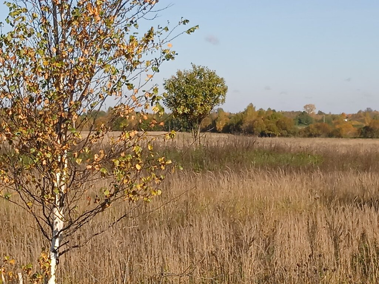 Деревенская осень)