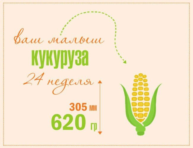 2️⃣4️⃣ недели ?.