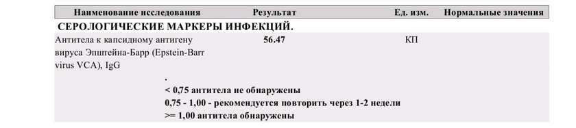 Вирус Эпштейна барр