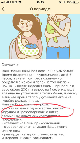 6 недель