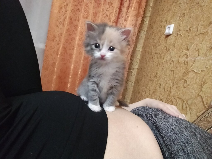 А у нас новый