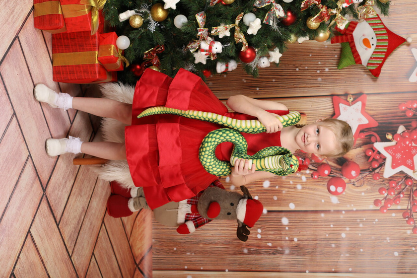Фотосессия 🎄