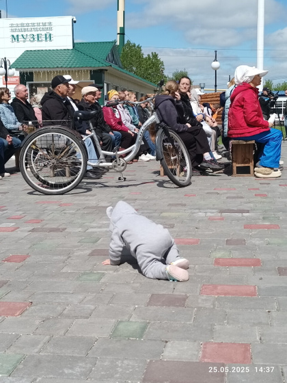 Очередное лесопосадочное