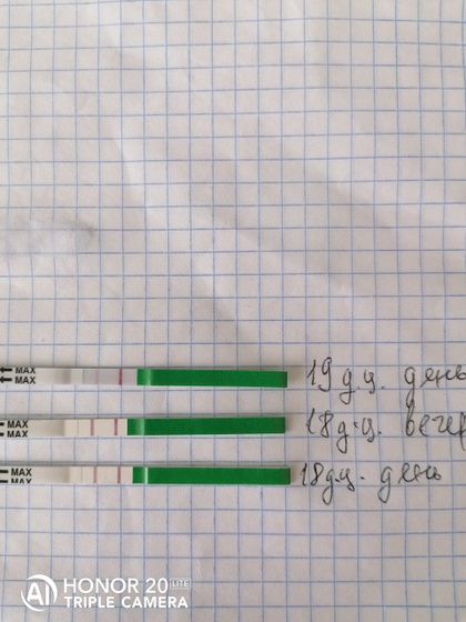 Здравствуйте.