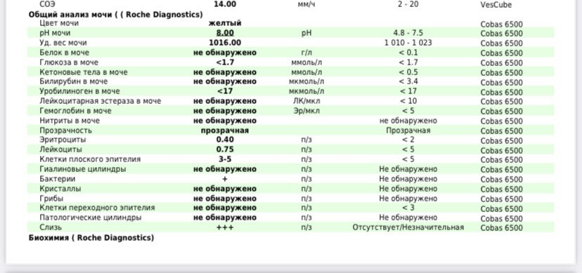 Это норм или нет