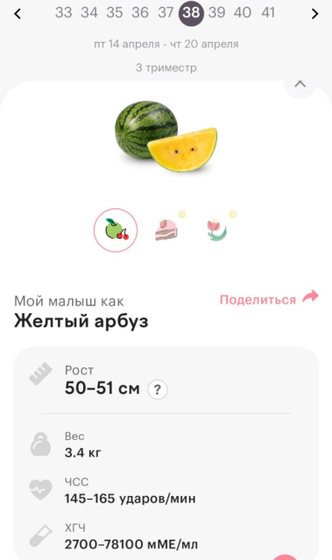 38 недель Интересное наблюдение.