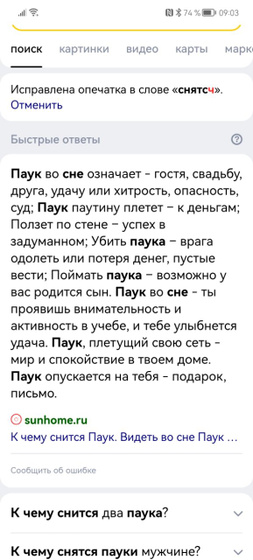 Сон про пауков