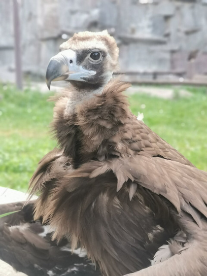 А вот и мы