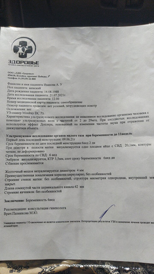 УЗИ 6 недель