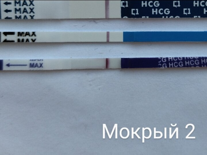 10 дпо. Хоть бы мои ?