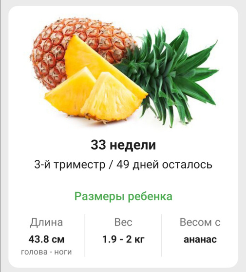 33 недели