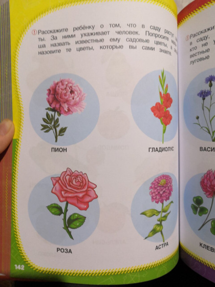 В светофоре была такая