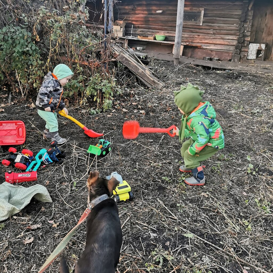3 недели жизни в