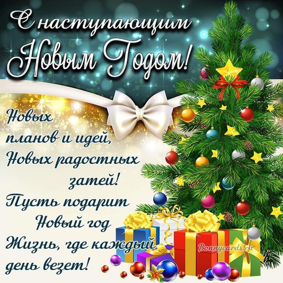 С Наступающим!!!) Как проводите Н.Г?)