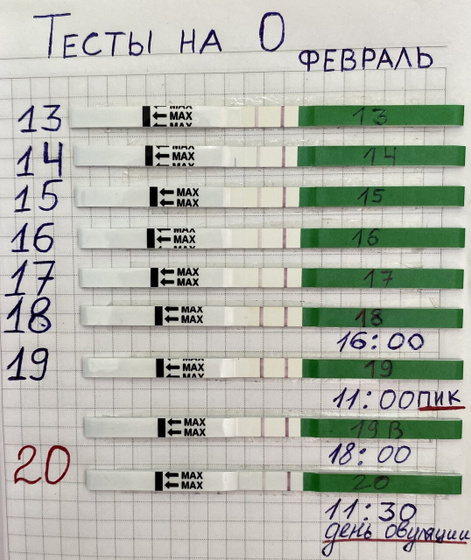 2️⃣0️⃣ ДЦ ( день овуляции )