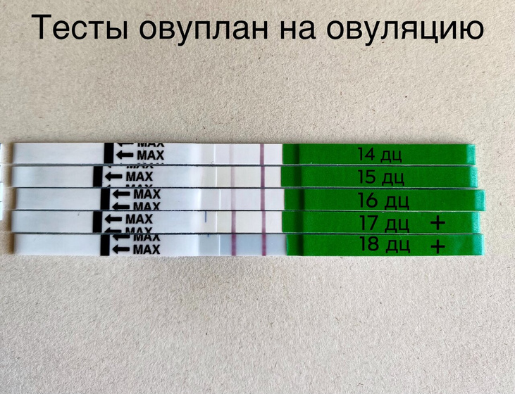18 день цикла , 2 день яркие тесты на О