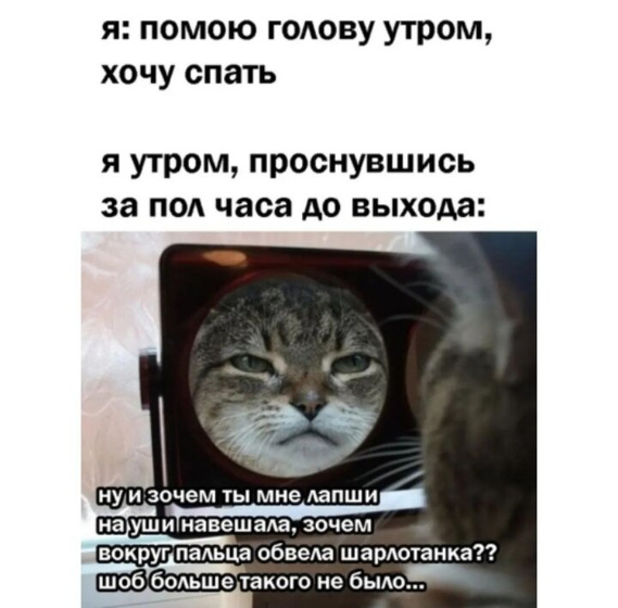 Блин, смешная картинка))))сейчас с