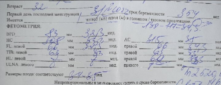 Узи 35 недель Девочки