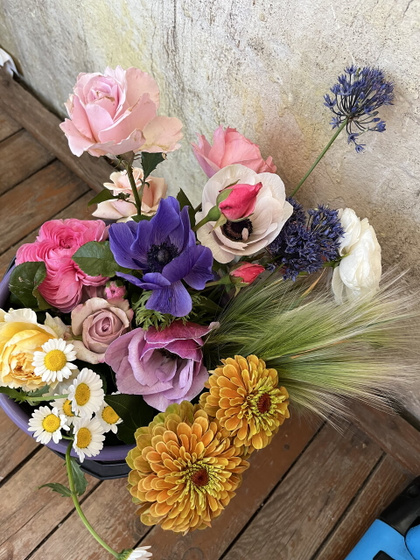 30 недель