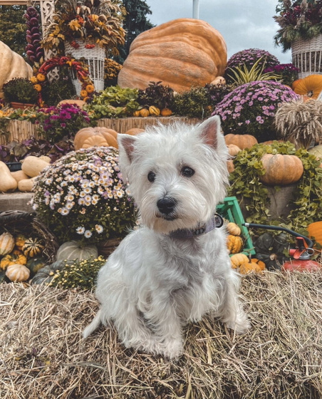 Моя малышка♥️🥹