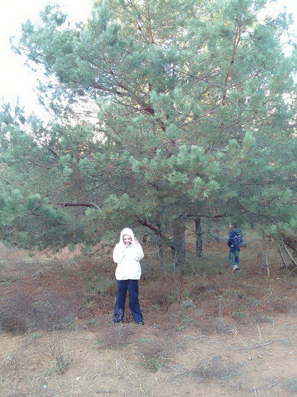 Ожидание - реальность.