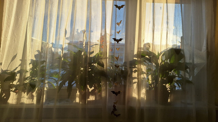 8.30 утра