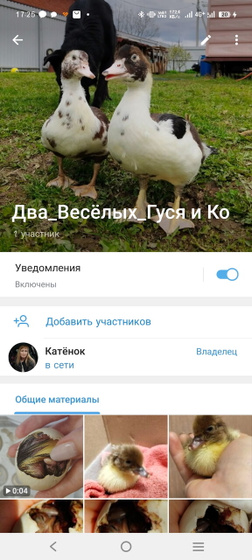 Про гусей группа в Тг