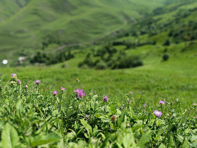 Горы