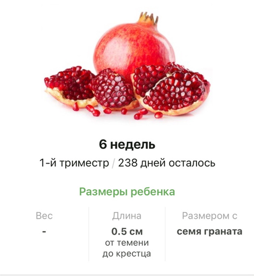 6 недель .