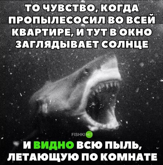 Не могу не поделиться