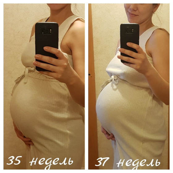 Наши 37 недель.