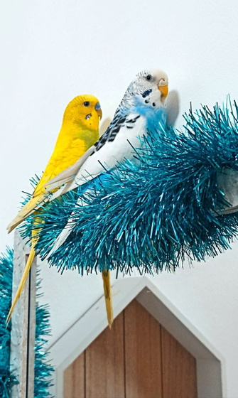 Ну, поехали ☺️