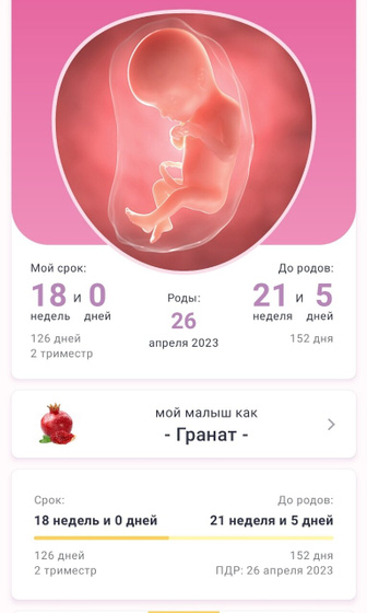 18 недель Я-гранат? Всё
