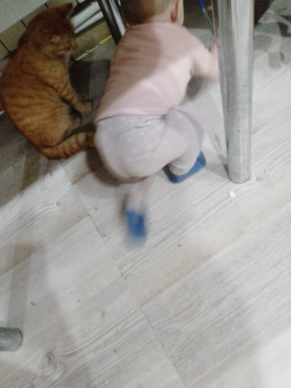 Ползает не так