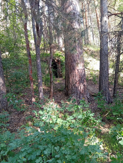 Гейзер