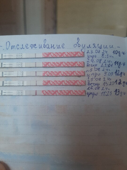 Отслеживание овуляции