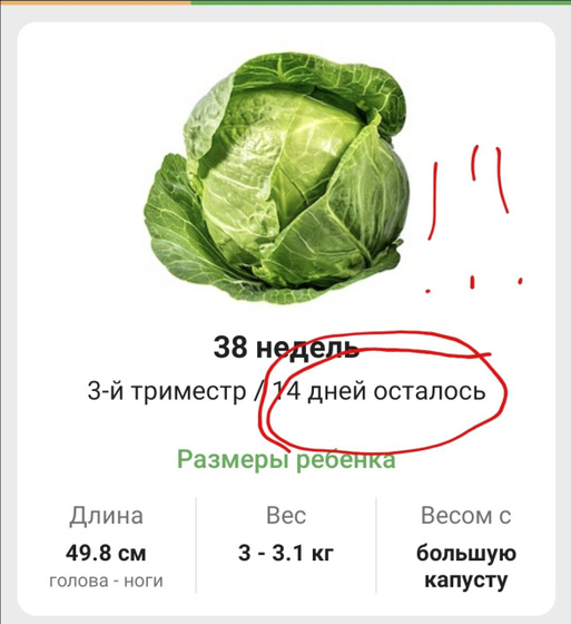 38 ✅