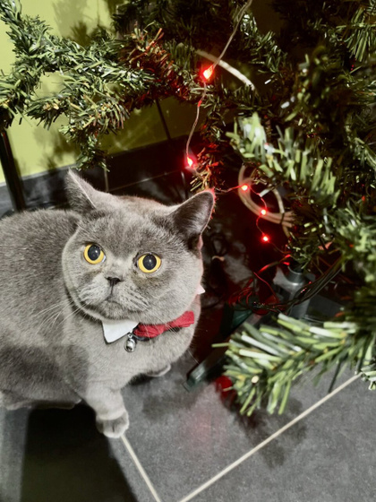 С Новым Годом!