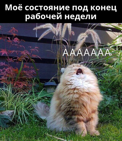 А кто вы в конце рабочей недели?