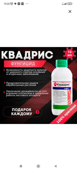 Кладоспориоз томатов