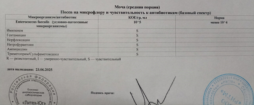 30.06.2025