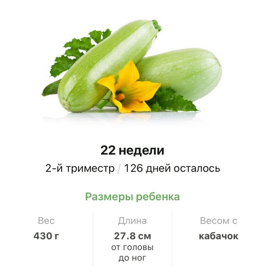 22 недели .
