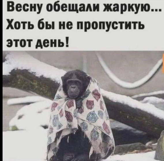 Люблю снежок пушистый в